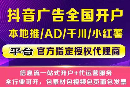 专业SEM代运营公司案例分析